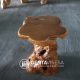 Elevate Your Indoor & Outdoor Space with a Bali Teak Root Stool